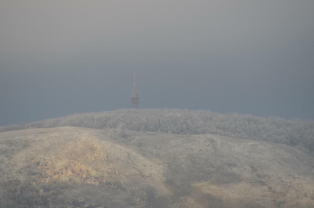 Penzion U Žabáka Mikulov Exterior foto