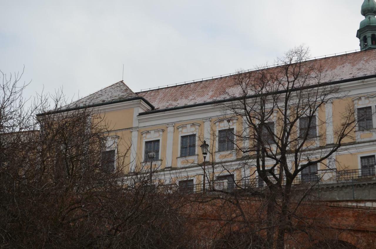 Penzion U Žabáka Mikulov Exterior foto